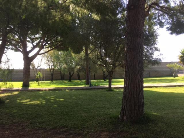 Villa Torrealta, 4000 M2 Cadiz Bagian luar foto