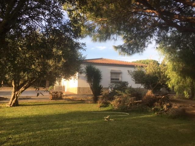 Villa Torrealta, 4000 M2 Cadiz Bagian luar foto