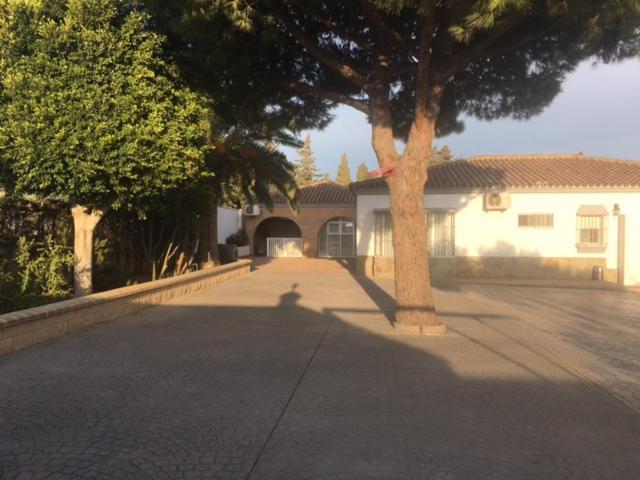 Villa Torrealta, 4000 M2 Cadiz Bagian luar foto